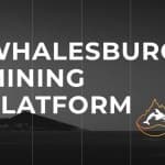 Whalesburg – Обзор майнинг пула – Статистика и общая информация