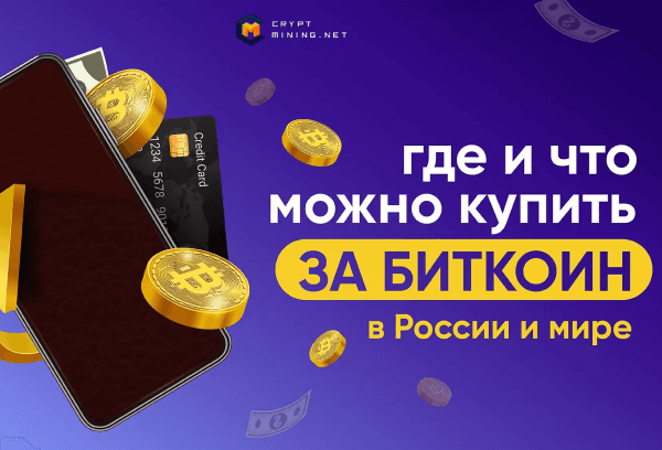 Какие покупки можно оплатить через интернет Биткоином