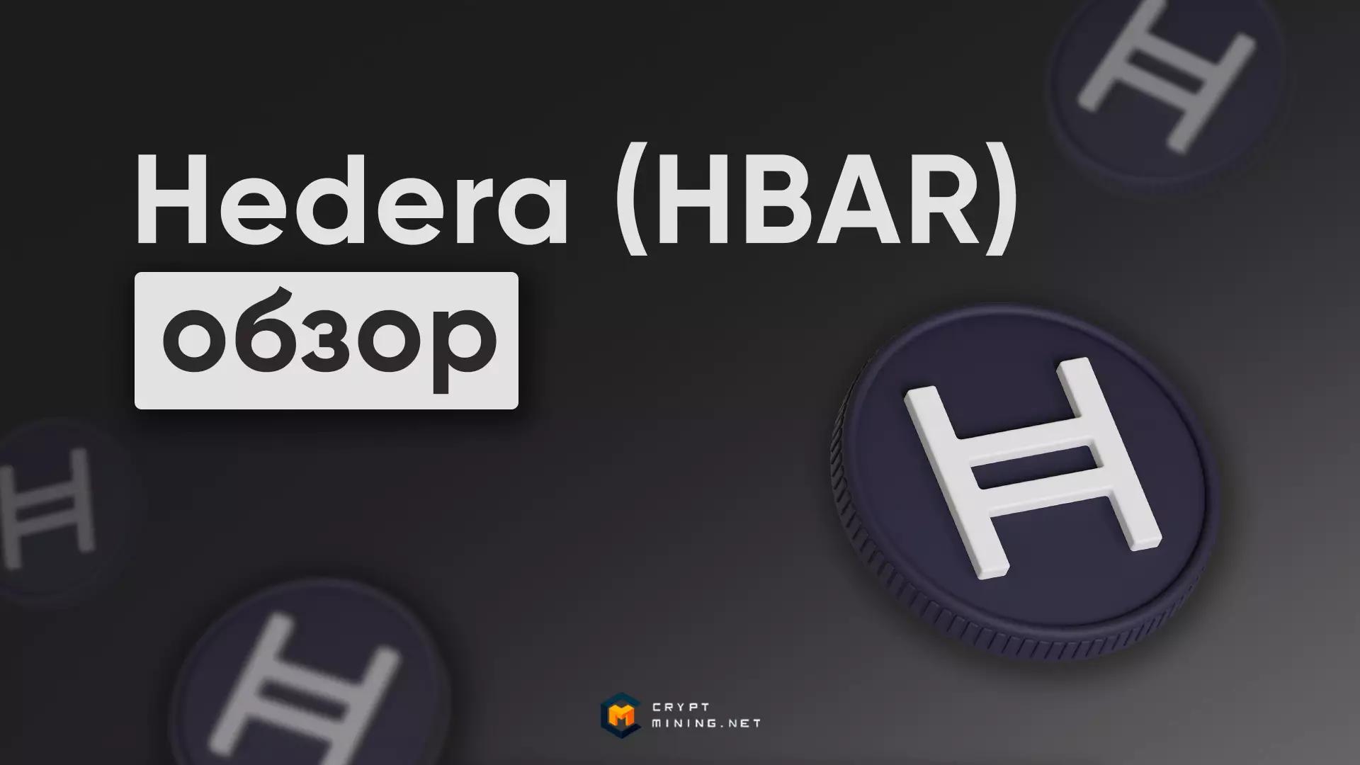 Стоит ли инвестировать в Hedera (HBAR): характеристики, кошельки, как купить, перспективы