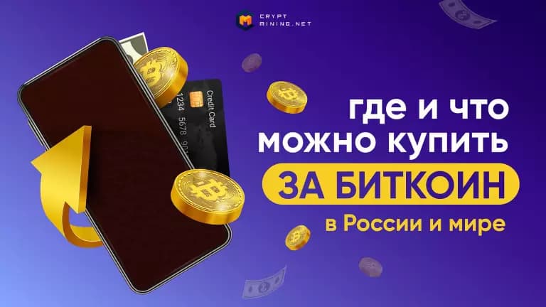 Какие покупки можно оплатить через интернет Биткоином